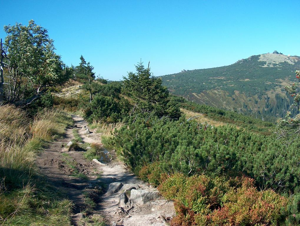 penzion Podlesí Kořenov Exteriér fotografie