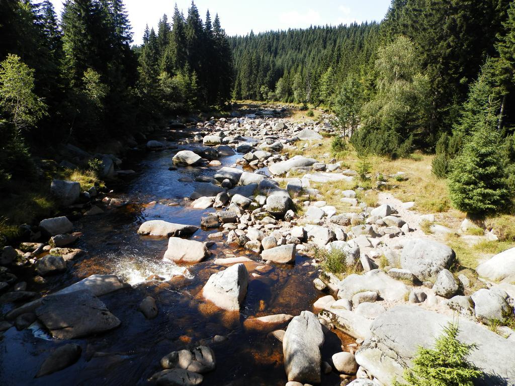 penzion Podlesí Kořenov Exteriér fotografie